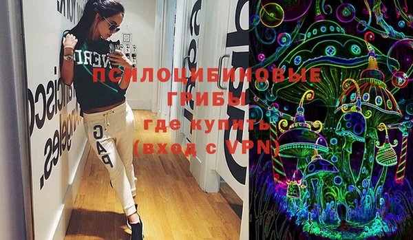 бошки Алексин