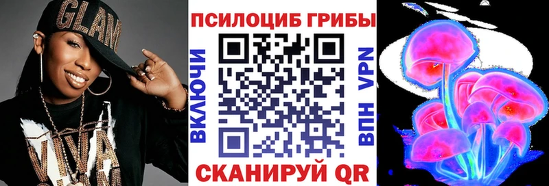 Псилоцибиновые грибы Psilocybe Ачинск