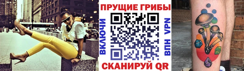 Псилоцибиновые грибы мицелий  Ачинск 