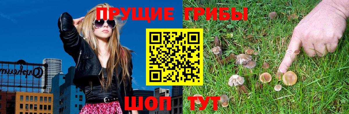 Галлюциногенные грибы Cubensis  Вход с VPN  Ачинск 