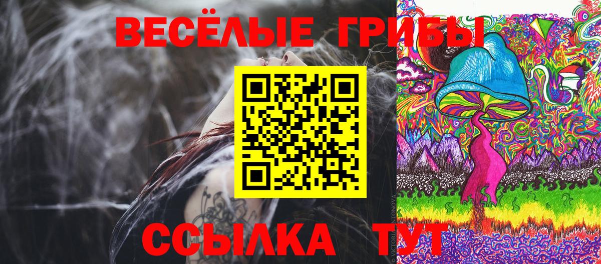 Псилоцибиновые грибы Psilocybine cubensis Ачинск